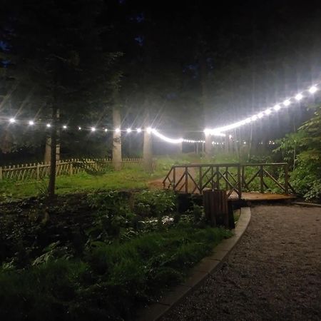 Villa Park - Beniart Studio - Nr 109 - Near Gondola Lift 波罗维茨 外观 照片