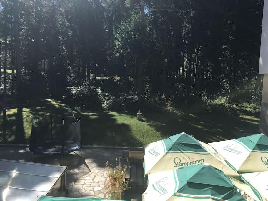 Villa Park - Beniart Studio - Nr 109 - Near Gondola Lift 波罗维茨 外观 照片